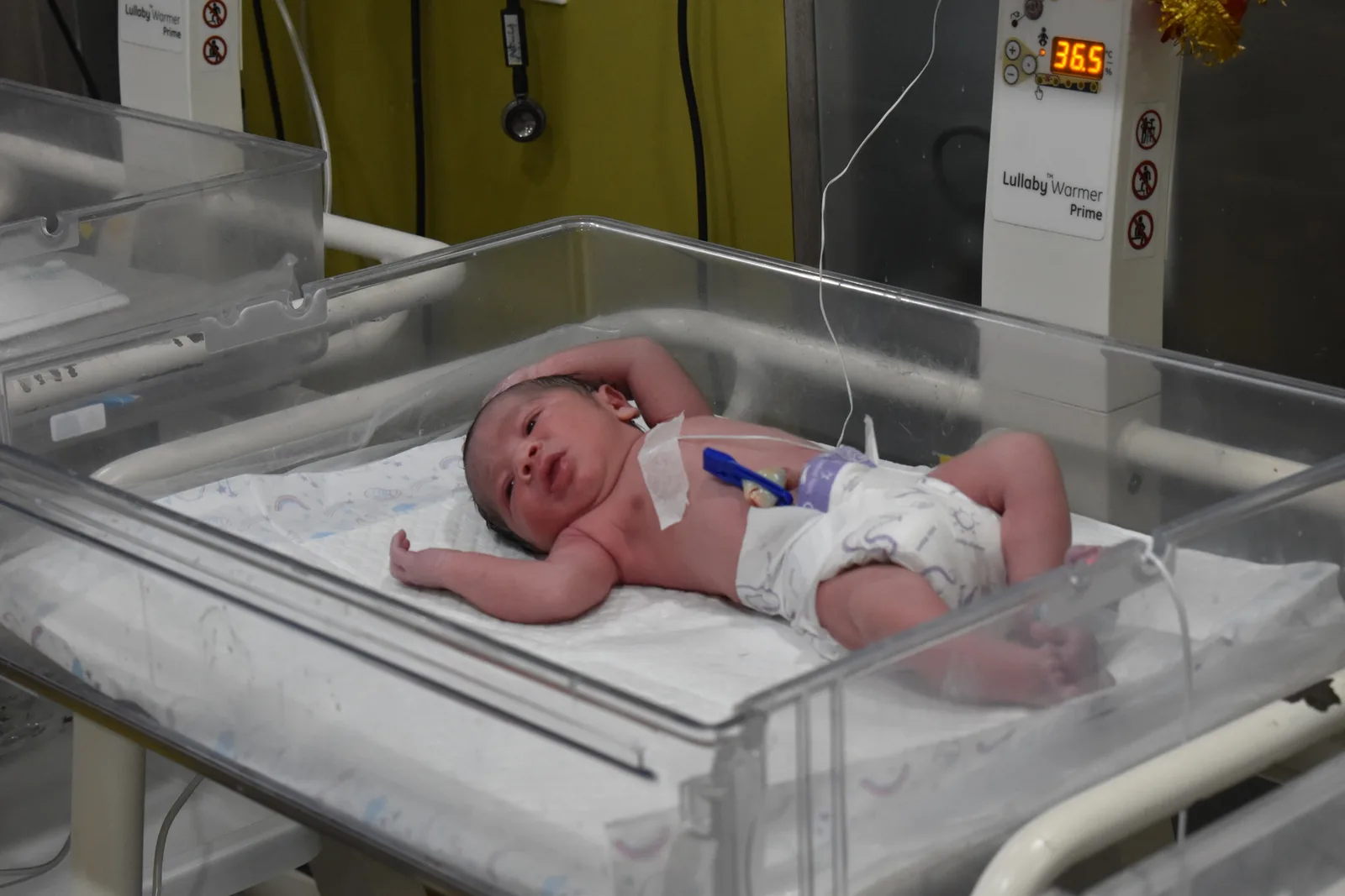 Newborn phototherapy and vital monitoring station